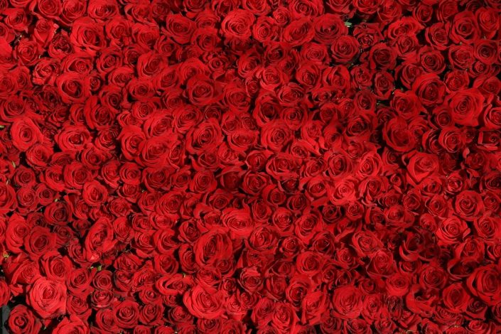 red-g3e12dba25_1280